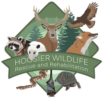 Hoosier Wildlife Rescue and Rehabilitation