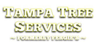 Tampa Tree Services