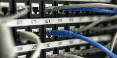 Close-up of network cables plugged into a patch panel with labeled ports.