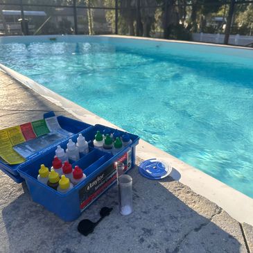 Sparkling pool service in Citrus County, surrounded by tropical plants!
