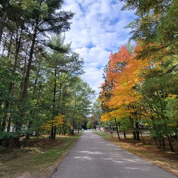 Forested Large Seasonal Sites 