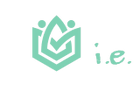 life insurance experts (i.e.)
