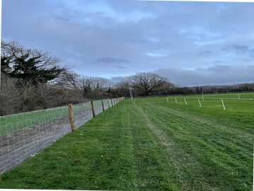 Rabbit fencing Deer fencing & wildlife fencing