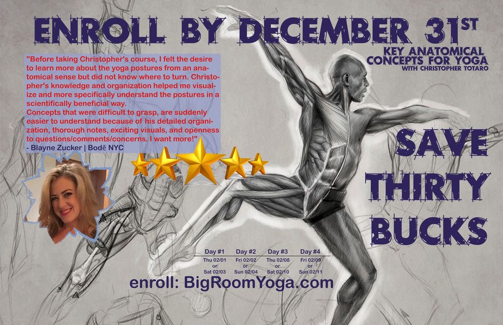 Yoga anatomy course enrollment with a discount offer before December 31st.