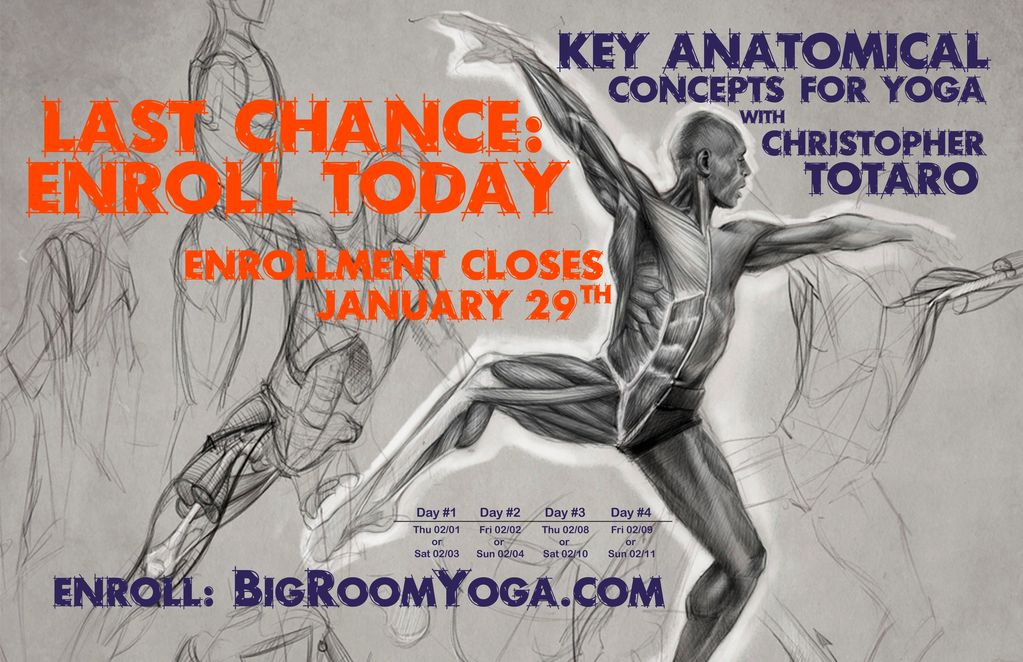 Yoga anatomy course enrollment closing soon, featuring Christopher Totaro.