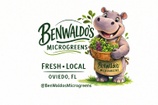benwaldogreens.com