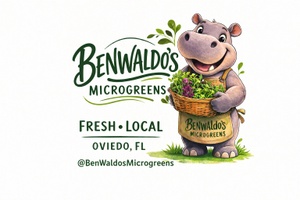 benwaldogreens.com