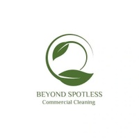 beyond spotless usa