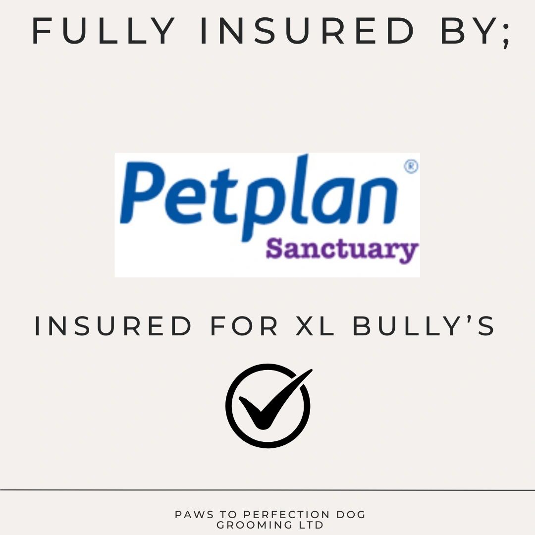 Fully Insured 💙🐾🐶