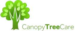 Canopy Tree Care