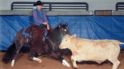 Just A Grullo Streak AQHA Grulla mare