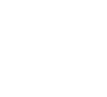 Vineyard101