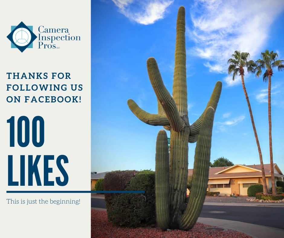 We Got 100 Likes On Our Facebook Page