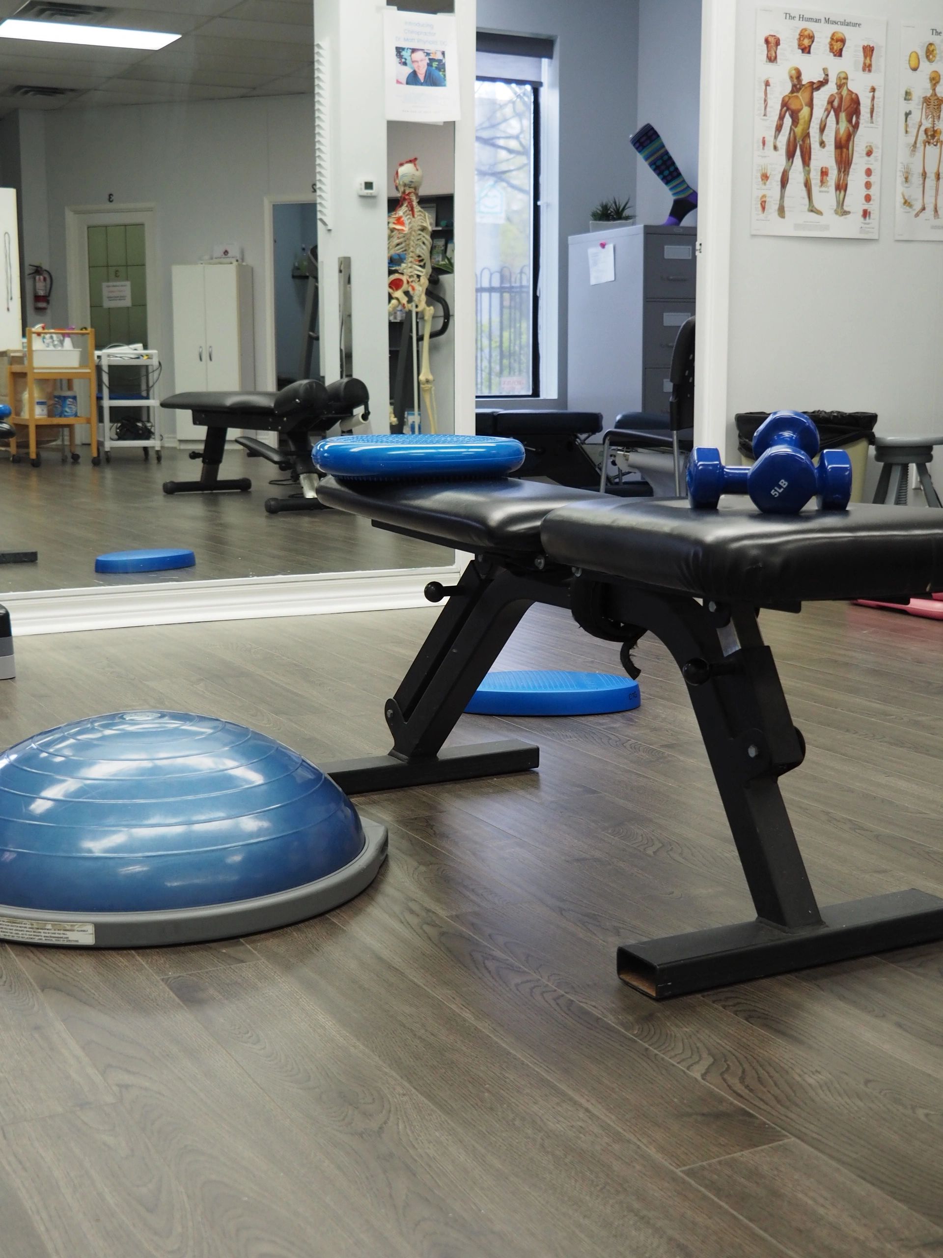 Gym at Clarkson with skeleton for education, posters, bench, weights, balance pads, BOSU. 
