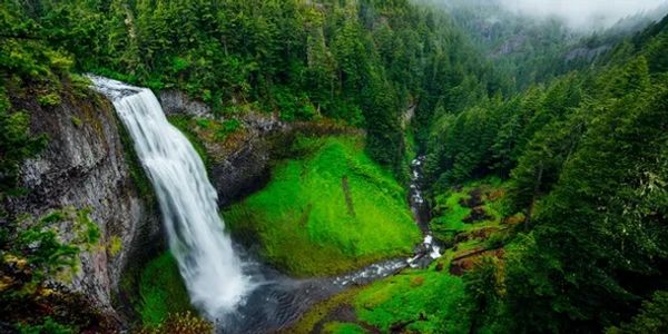 Willamette National Forest