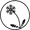 January Dandelion