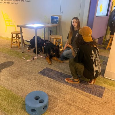 Trainer working with service dog client 