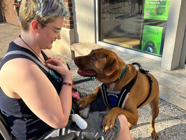 Service Dog tasking for handler 