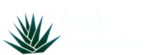 Mariachi Alma de Jalisco