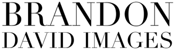 Brandon David Images