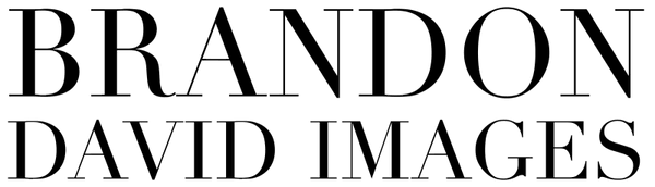 Brandon David Images