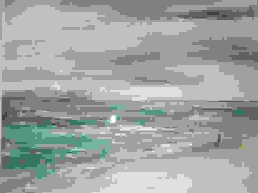 image254
