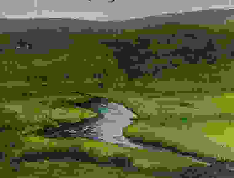 image251