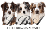 Little Brazos Breeders