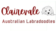 CLAIREVALE LABRADOODLES