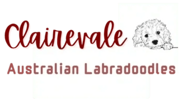 CLAIREVALE LABRADOODLES