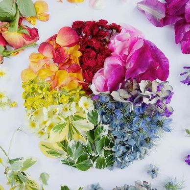 COLOUR WHEEL MADE UP OF FLOWERS