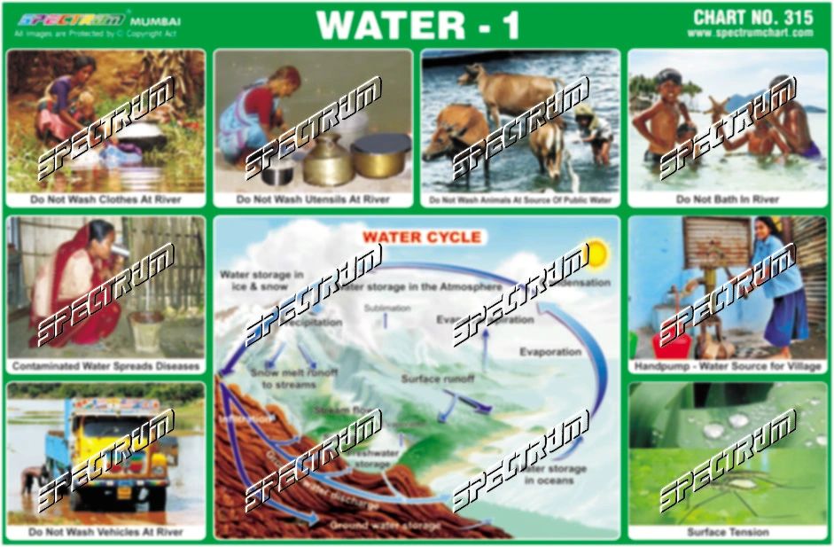 Spectrum Educational Charts: Chart 318 - Water Sports