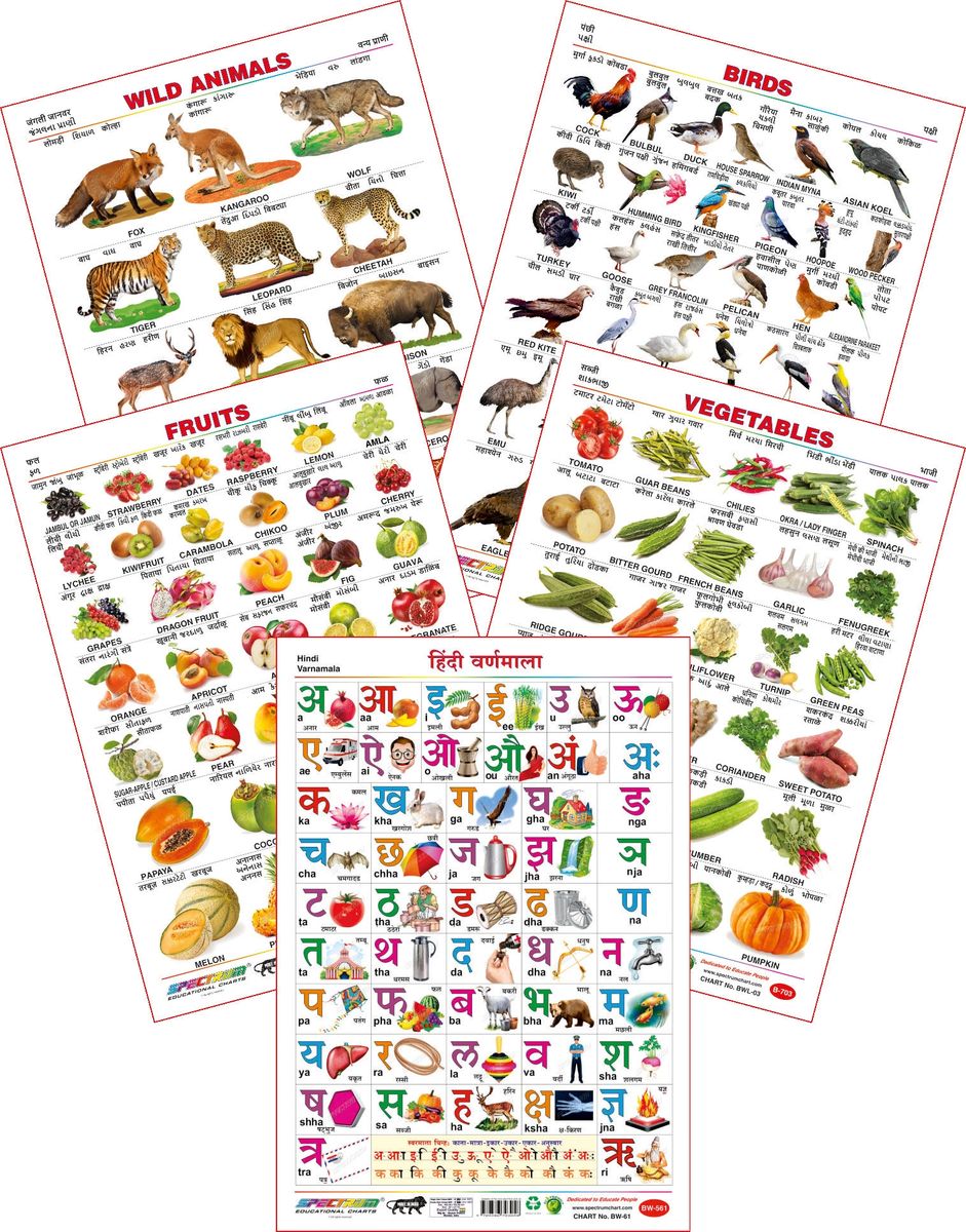 Spectrum Educational Large Wall Charts (Set of 5) : ( Wild Animals , Birds , Fruits , Vegetables & Hindi Varnamala ) Spectrum Educational Large Wall Charts (Set of 5) : ( Wild Animals , Birds , Fruits , Vegetables & Hindi Varnamala )