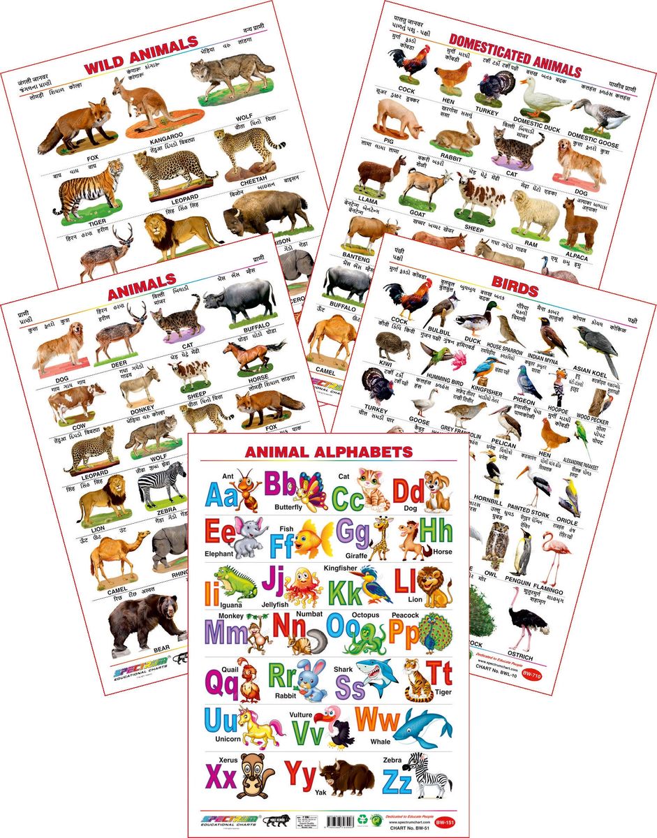 Spectrum Educational Large Wall Charts (Set of 5) : ( Animals Alphabets ...