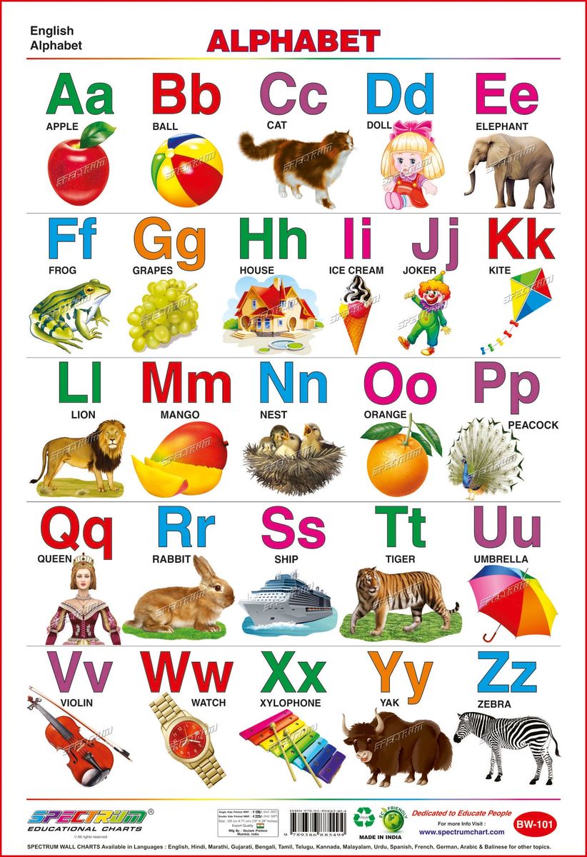 Spectrum Educational Large Wall Charts (Set of 3) : ( English Alphabet ,  Wild & Domestic Animals )