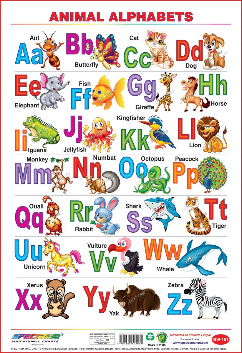 Animals Alphabet & Numbers 1 to 10