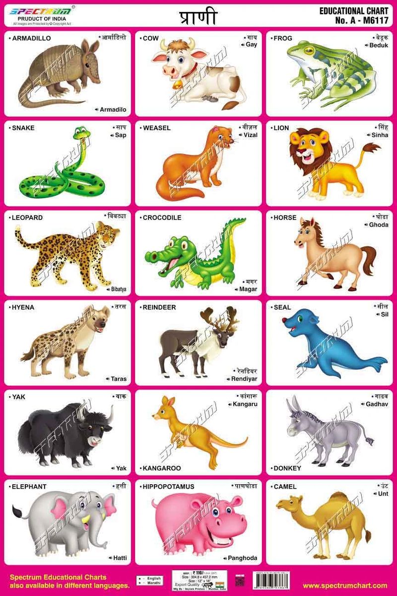 Chart Animals (Marathi)