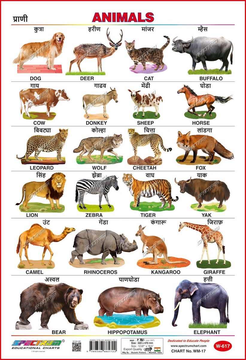 Wild Animals Name Teaching Chart