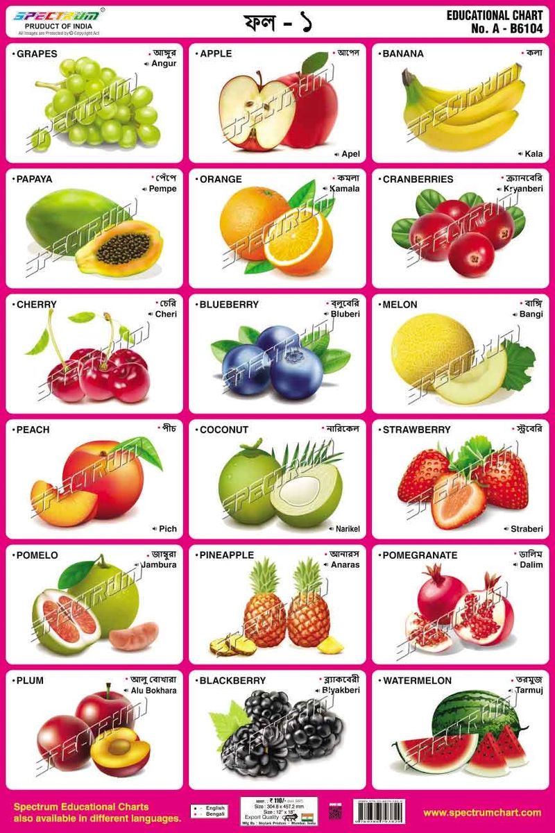 Chart Fruits-1 (Bengali)