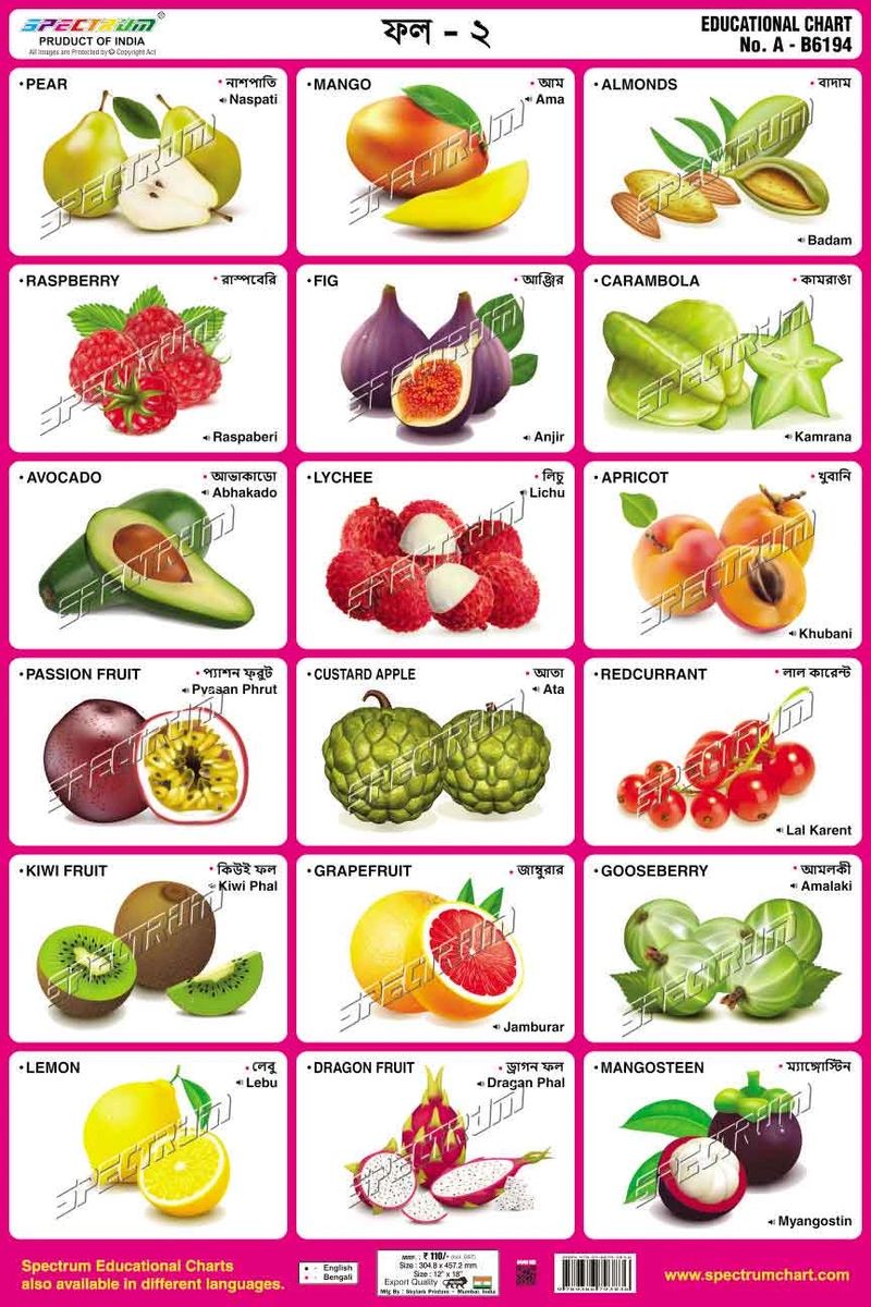 Chart Fruits-2 (Bengali)