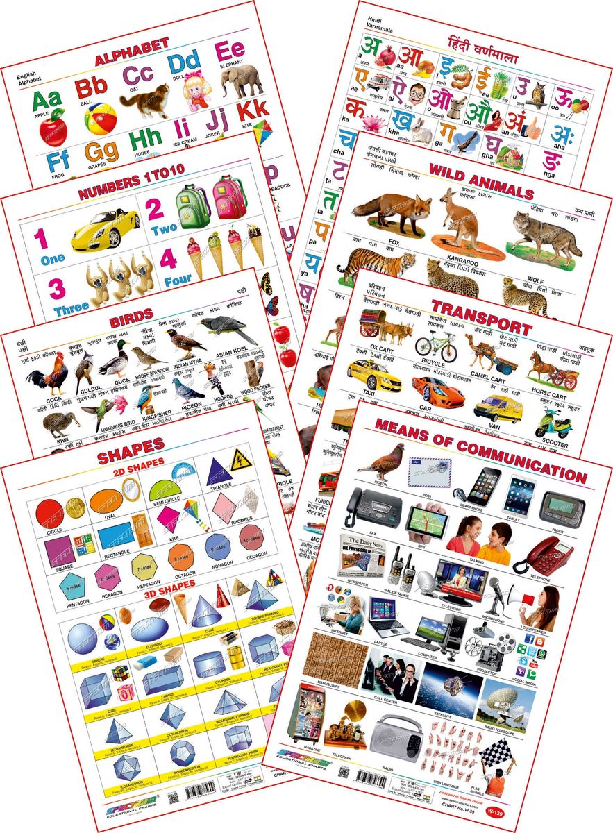 Spectrum Educational Mini Wall Chart Set Of 8 Set 10 English