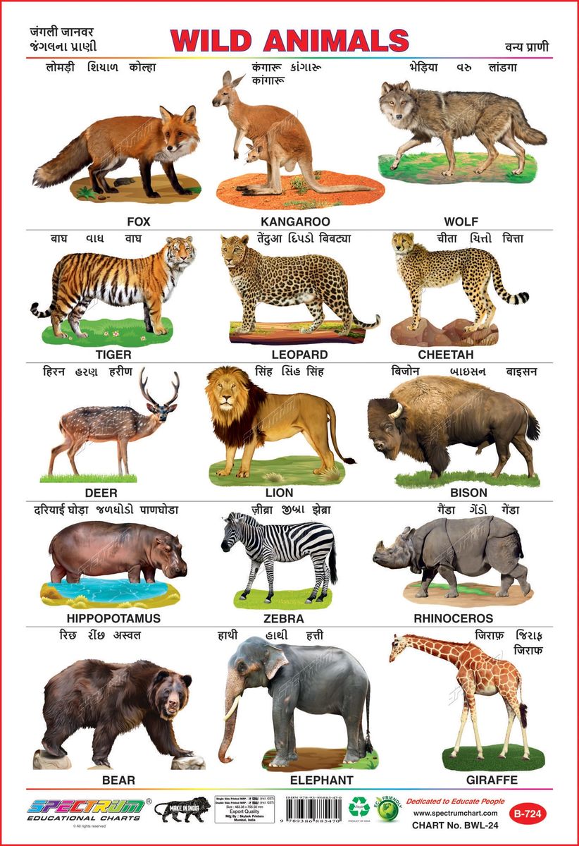 Top 148 + Animals chart in hindi