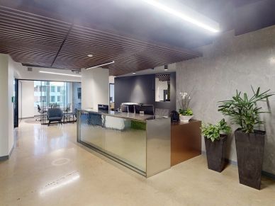 Modern office reception area with plants.
