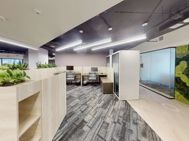 Modern office workspace with cubicles and plants.