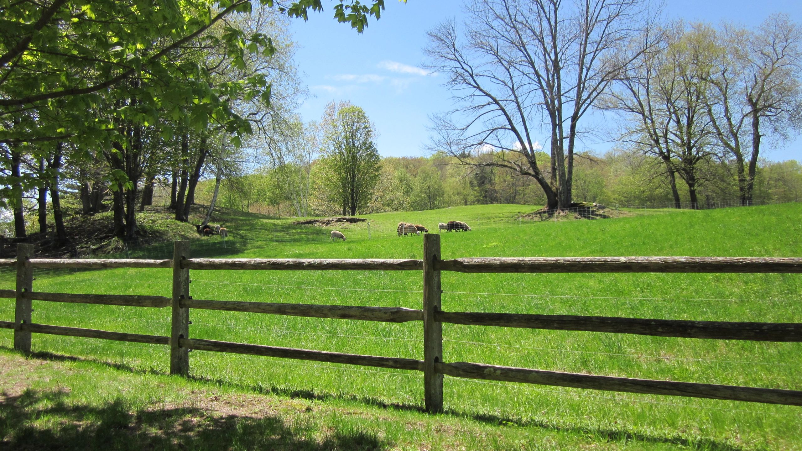 Shirkshirefarm
