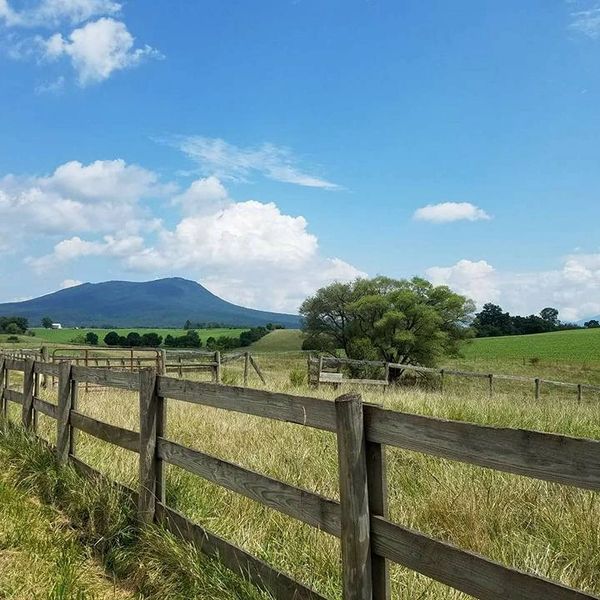 Rustic wooden fence along a grassy field with a distant mountain and blue sky.