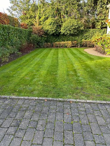 Well-maintained green lawn with striped mowing patterns beside a paved stone area.