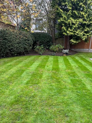 Well-maintained garden lawn with striped mowing pattern and surrounding trees.