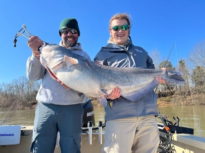 Catfishing Tennessee Guide Service in Memphis, Tennessee
