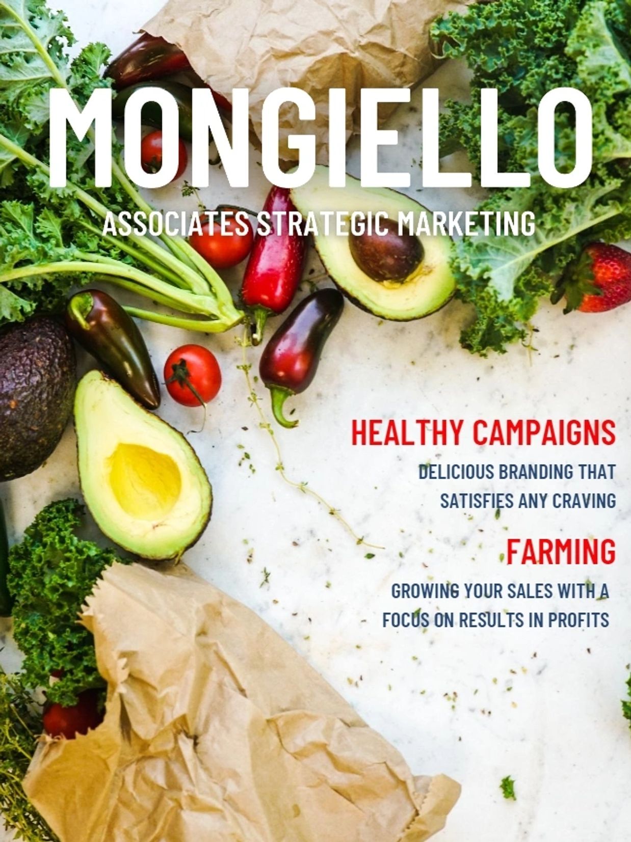 The Mongiello Marketing brochure